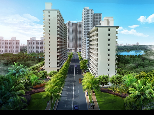 阳江买房哪个地段好？